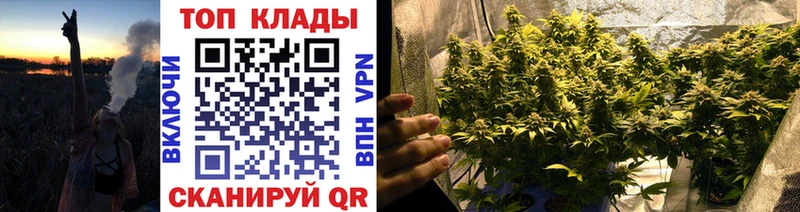 Купить наркотики цена Гай КОКАИН  ГАШ  Псилоцибиновые грибы  Марихуана  A-PVP 